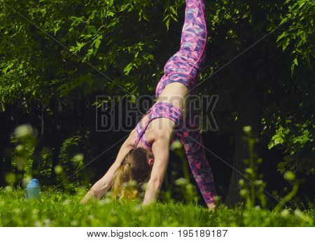Young woman doing yoga exercises in the park. Artha mukha svanasana