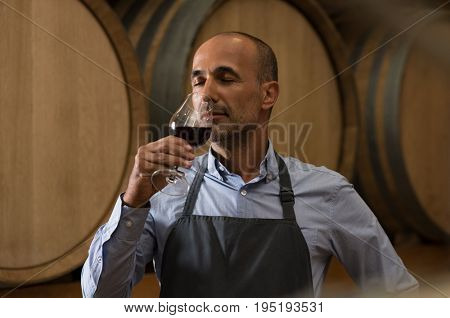 Winemaker smelling a glass of red wine in a cellar surrounded by wooden barrels. Professional mature man smelling red wine in glass with closed eyes in a wine cellar. Sommelier inspecting wine.