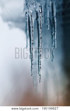 shiny transparent icicles hanging from a winter in Sunny winter day
