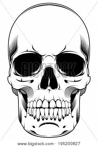 Skull design element isolated on white background