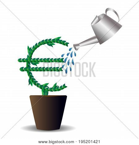 Green Leaves Laid Out In Form Of An International Graphic Designation Of Euro, A Tree Growing In A P