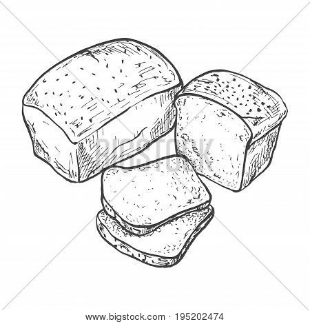 Rectangular loaf of bread. Sliced bread. Vector illustration of a sketch style.