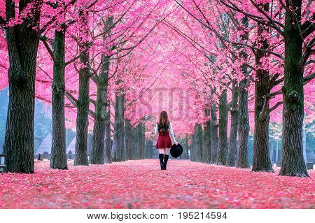 Beautiful Girl With Pink Leaves In Nami Island, South Korea.