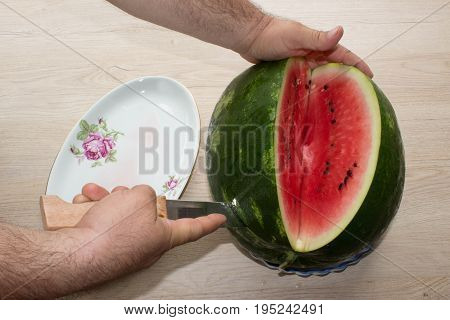 Men hand hold from on fresh watermelon cutting for eatin on table background. Male cutting a delicious sweet watermelon