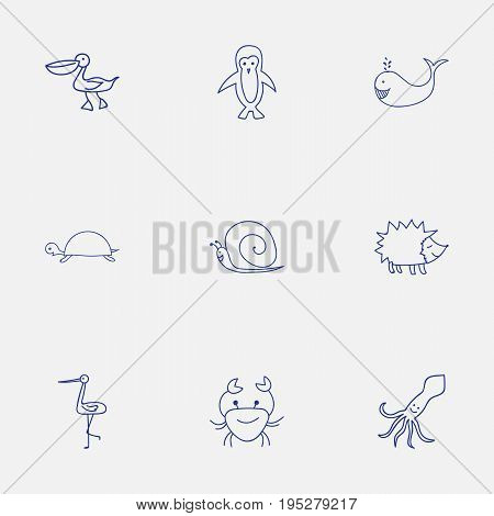 Set Of 9 Editable Animal Icons. Includes Symbols Such As Polar Bird, Tortoise, Shadoof And More. Can Be Used For Web, Mobile, UI And Infographic Design.