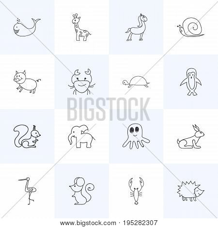 Set Of 16 Editable Zoology Icons. Includes Symbols Such As Shadoof, Tortoise, Tall Animal And More. Can Be Used For Web, Mobile, UI And Infographic Design.