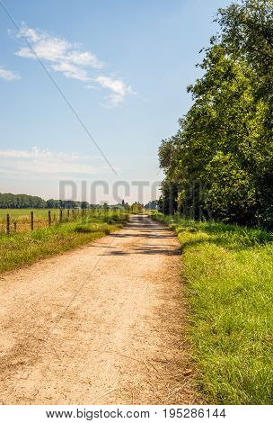 Winding dirt road between trees and grassland with a fence made of wooden poles with wire mesh. It is a sunny day in the Dutch summer season.