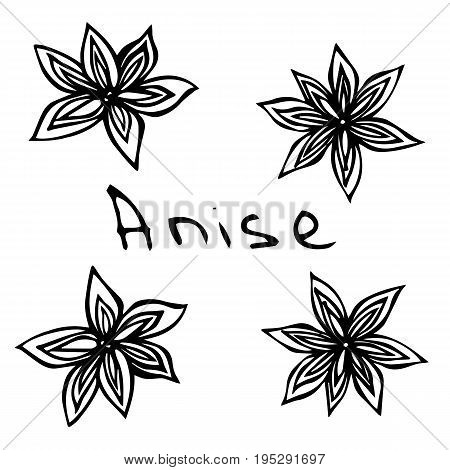 Stars of Anise. Realistic Hand Drawn Doodle Style Sketch. Vector Illustration Isolated On a White Background.