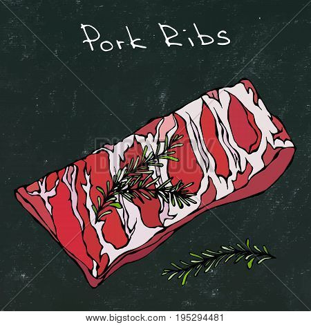 Row Pork Ribs and Herbs. Fresh Meat Cuts. Vector Illustration Isolated on a Black Chalkboard Background. Realistic Hand Drawn Doodle Style Sketch.
