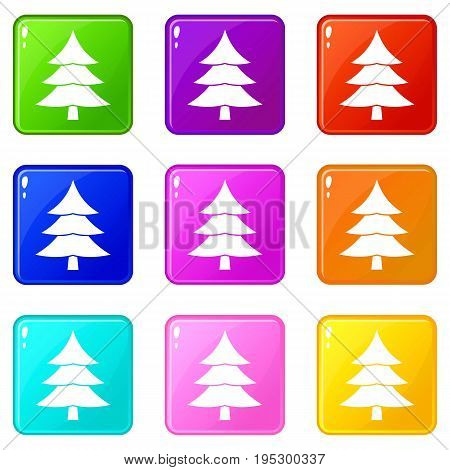 Fir tree icons of 9 color set isolated vector illustration