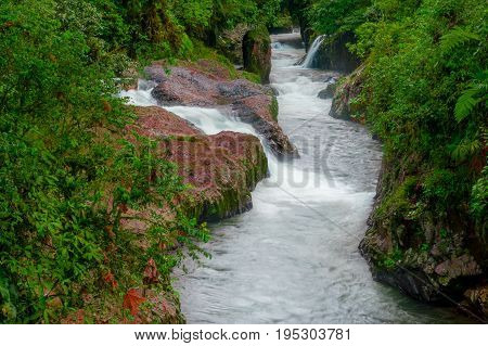 Forest wild river landscape in the amazon region, rapids stream water.