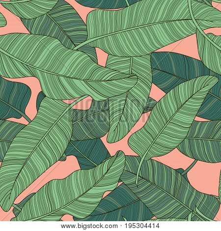 Composition Of Green Palm Banana Leaf On A Light Pink Background. Print Summer Seamless Vector Patte