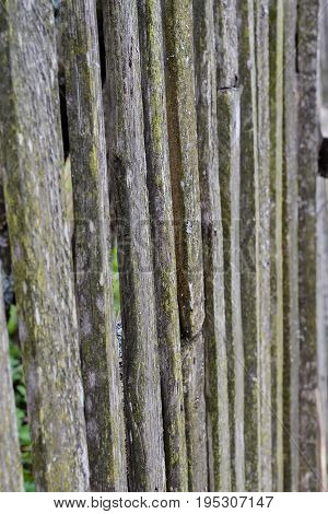 Old wooden fence background in black and white