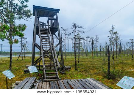 Tunturiaapa Trail, In Pyha-luosto National Park