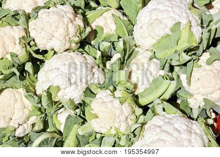 The close-up of white cauliflower in vegetables market at sunny summer day. Healthy organic food. Suitable for an abstract background.