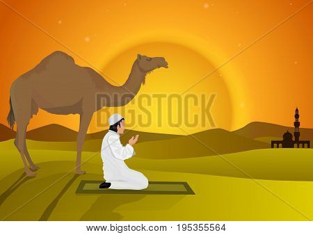 man praying and camel with sunset background