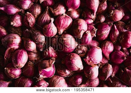 Fresh shallots picked from a nearby market.