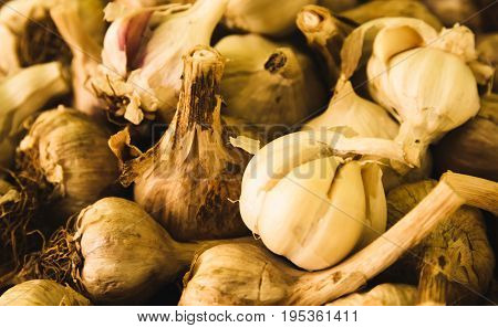 Fresh garlic picked from a nearby farmer's market.