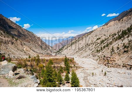 Nanga Parbat and Fairy Meadows Panorama, Himalaya, Pakistan