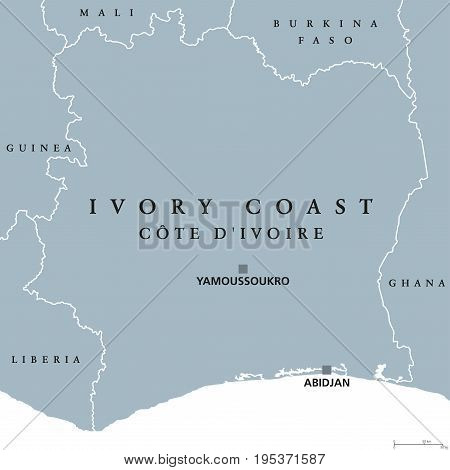Ivory Coast political map with capital Yamoussoukro and Abidjan. Republic of Côte d'Ivoire, country on the West African coast. Gray illustration isolated on white background. English labeling. Vector.