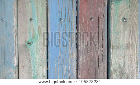 Old Color Wood Planks Texture. Tree Background. Batten
