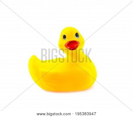 yellow squeak rubber duck on isolated background