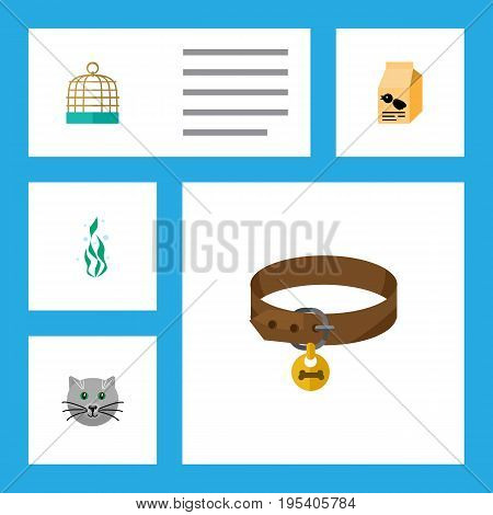 Flat Icon Pets Set Of Bird Prison, Kitty, Nutrition Box And Other Vector Objects. Also Includes Pussy, Box, Seaweed Elements.