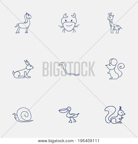 Set Of 9 Editable Animal Icons. Includes Symbols Such As Rat, Chipmunk, Serpent And More. Can Be Used For Web, Mobile, UI And Infographic Design.