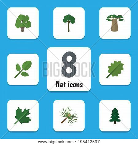 Flat Icon Ecology Set Of Oaken, Alder, Evergreen And Other Vector Objects. Also Includes Maple, Oak, Evergreen Elements.