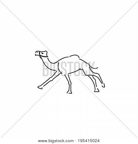 Camel Vector Silhouette Logo. Contour Illustration Of A Camel On The Run, On A White Background