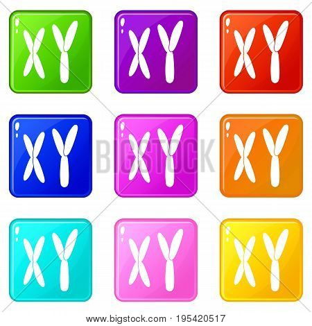 Human chromosomes icons of 9 color set isolated vector illustration