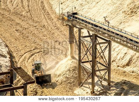 Sugar Cane Bagasse Fiber