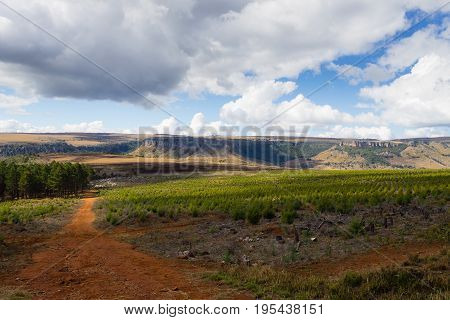 Panorama From South Africa