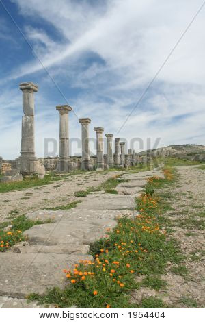 แถวของคอลัมน์โรมันโบราณ Volubilis เมืองซากปรักหักพัง