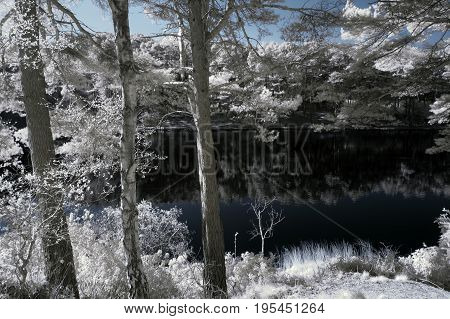 Beautiful False Color Surreal Infrared Landscape Image Of Lake And Surrounding Forest