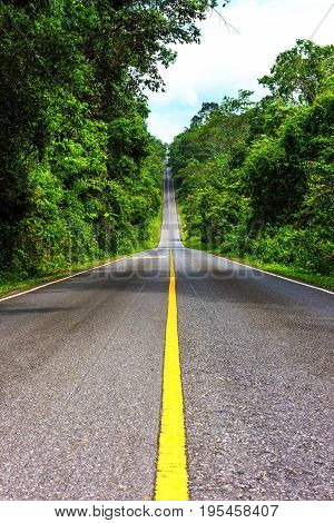 The road on the Khao Yai National Park in Thailand.