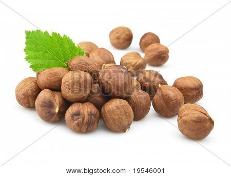 Núcleo de avelãs sobre um fundo branco