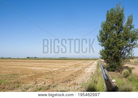Stubble fields and poplar groves in an irrigated agricultural landscape in the plain of the River Esla in Leon Province Spain