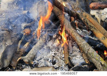 Bonfire in the forest ready for barbeque