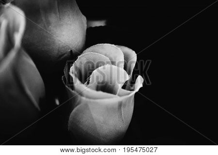 Bunch of rose flowers in monochrome style.