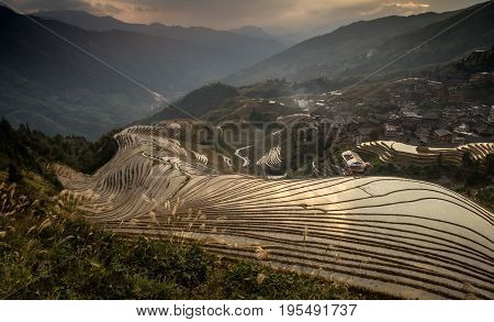 Rolling Rice Patty Fields in the south china mountains