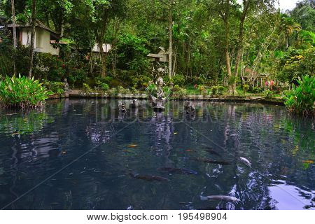 Pura Gunung Kawi Sebatu,  Bali, Indonesia - July 2017: Small pond with fish at the Balinese temple