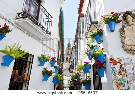 Flowers In Flowerpot On The White Walls On Famous Flower Street Calleja De Las Flores In Old Jewish