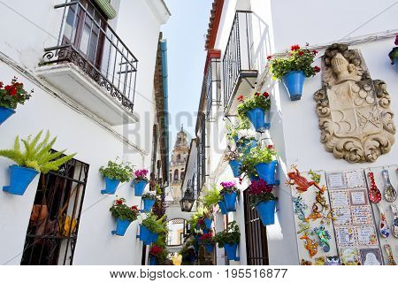 Flowers In Flowerpot On The White Walls On Famous Flower Street Calleja De Las Flores In Old Jewish
