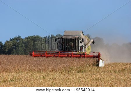 COMBINE-HARVESTER - Agricultural machine on the field at harvest time