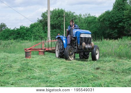Tractor manufacturer harvests hay for animals for the winter