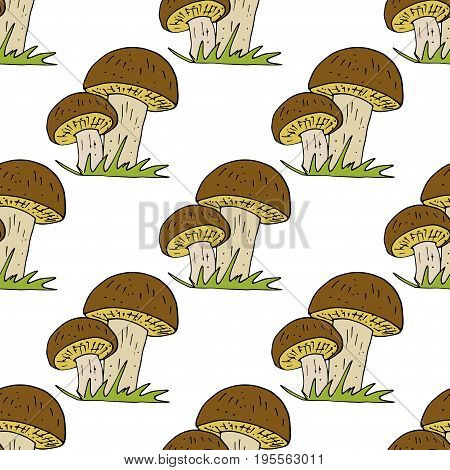 Vector doodle style seamless pattern with forest mushrooms. Ornamental, traditional, seamless pattern with forest mushroom. Nature vector.