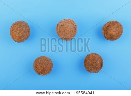 Close-up of whole and exotic coconuts on a bright blue background. Nutritious vegan diet. Exotic tropical nuts. Natural, organic whole coconuts on a blue background. Five fresh cocos.