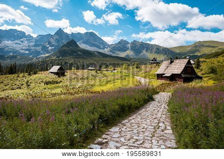 Summer view to Hala Gasienicowa in valley, Tatra mountains Zakopane Poland