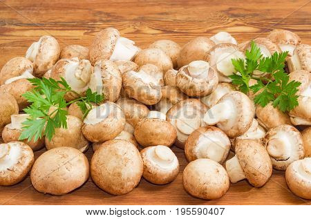 Pile of the fresh whole uncooked edible mushrooms with twigs of the parsley on a surface of the old wooden planks